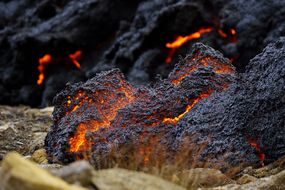 still and moving images